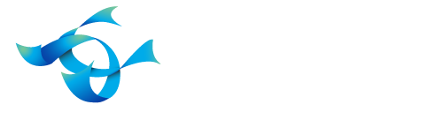 sociedad interactiva